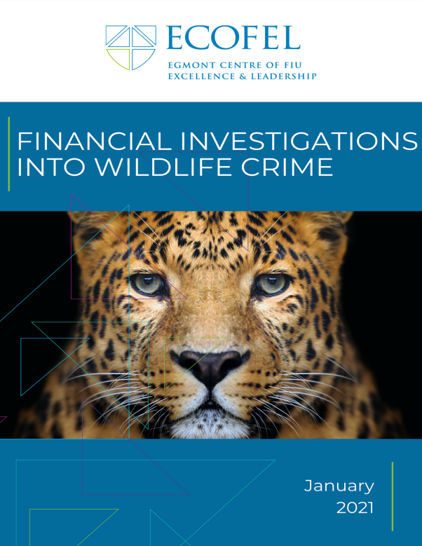ECOFEL Financial investigations into wildlife crime 