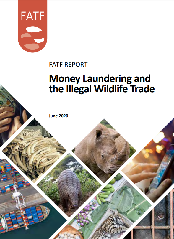 Money laundering and illegal wildlife trade